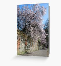 Farnham in Springtime No3 Greeting Card