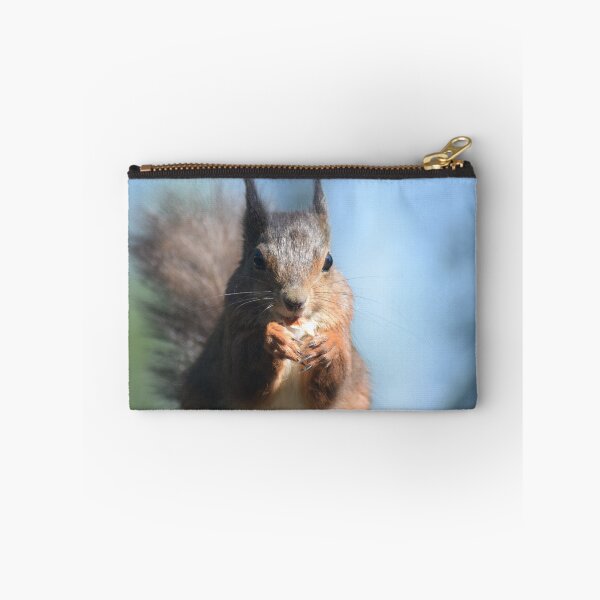 Item preview, Nibbling Red Squirrel designed and sold by Willtompsett.