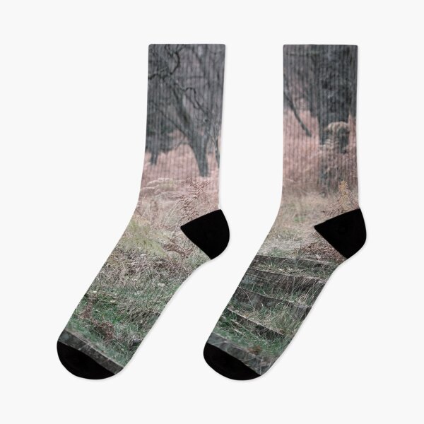Item preview, Into the Birch Wood designed and sold by ShinyPhoto.