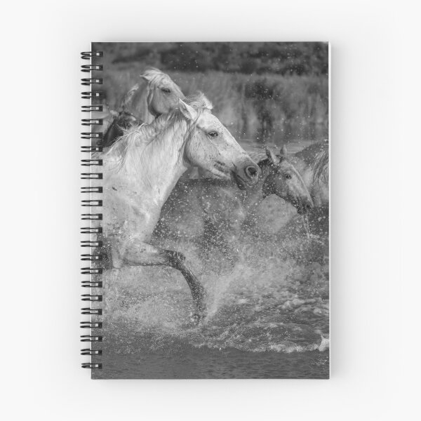 Item preview, Wild Horses Photo Print designed and sold by urbanathena.