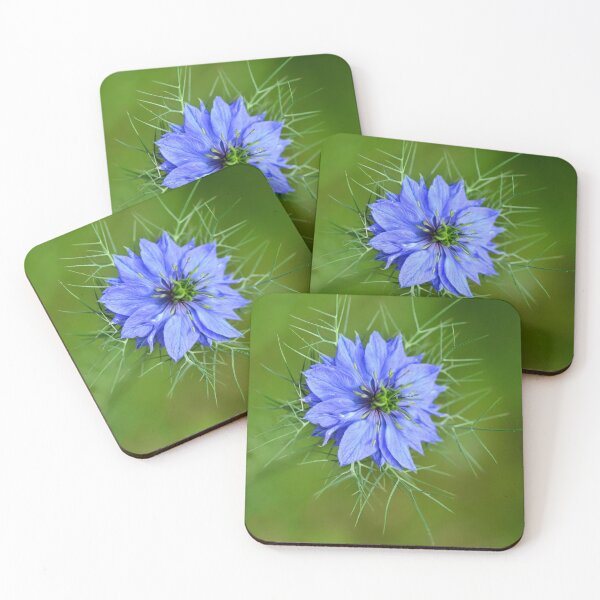 Item preview, Wild flower - Plate no.# I designed and sold by Matsumoto.