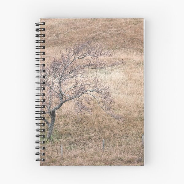 Item preview, Fencing-in Nature designed and sold by ShinyPhoto.