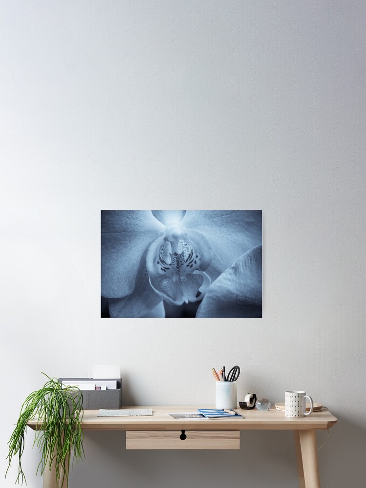 Thumbnail 2 of 3, Poster, Moth Orchid designed and sold by FrankThomas.