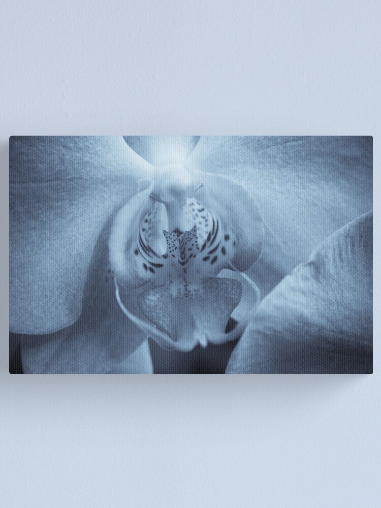 Alternate view of Moth Orchid Canvas Print
