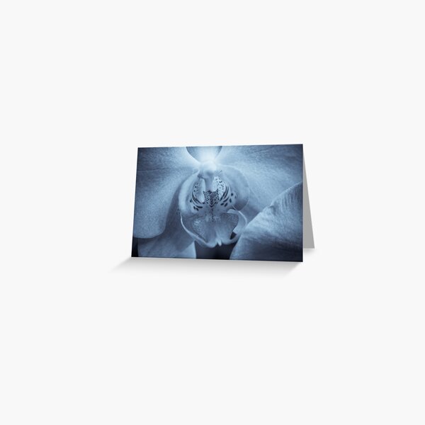 Moth Orchid Greeting Card