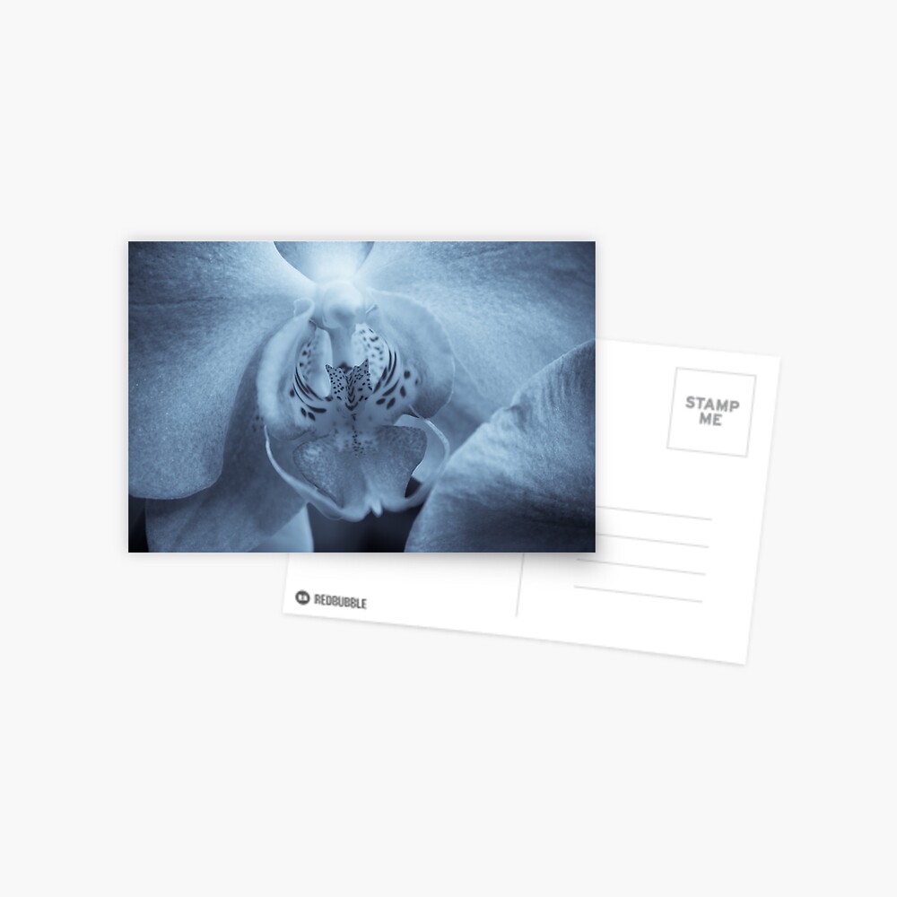 Item preview, Postcard designed and sold by FrankThomas.