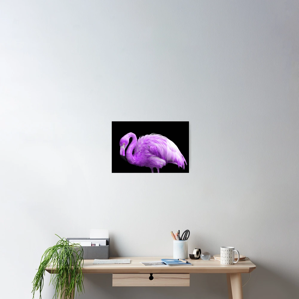 Purple Flamingo