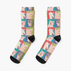 Four Meme Cats of the Apocalypse Socks