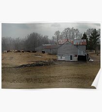 Wating to go in Rural Roots, Belmont Ontario Canada Poster