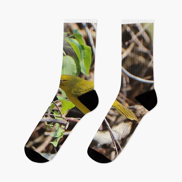 Item preview, African golden weaver bird, Chobe, Botswana designed and sold by FranWest.