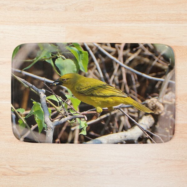 Item preview, African golden weaver bird, Chobe, Botswana designed and sold by FranWest.