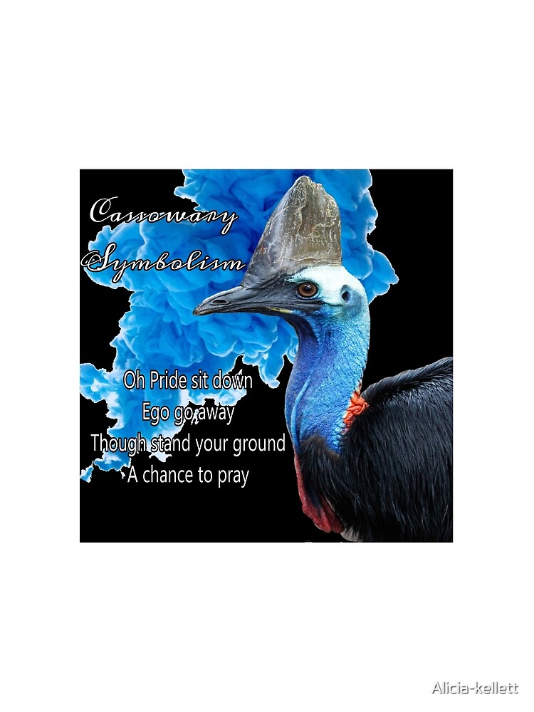 Cassowary Symbolism by Alicia-kellett