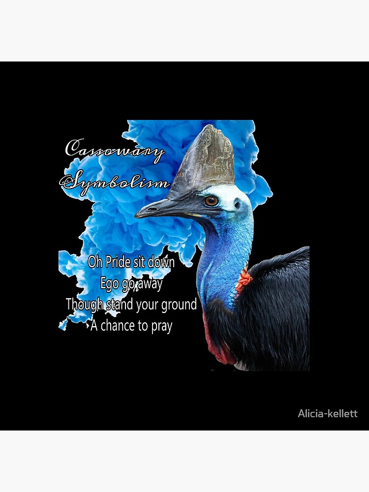Cassowary Symbolism by Alicia-kellett