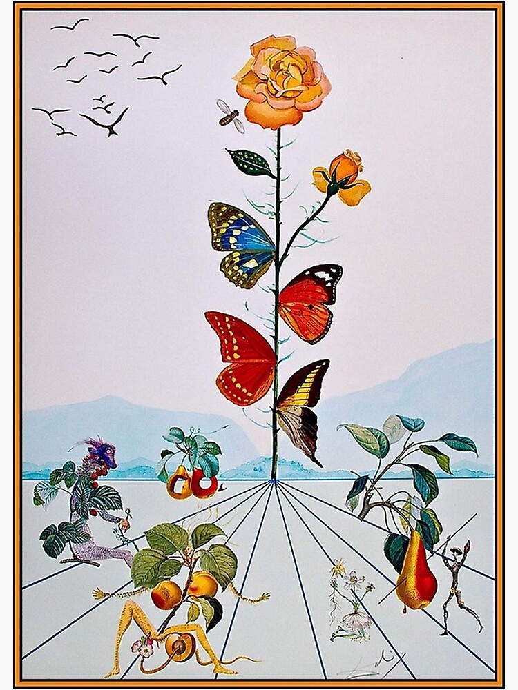 the butterfly rose dali