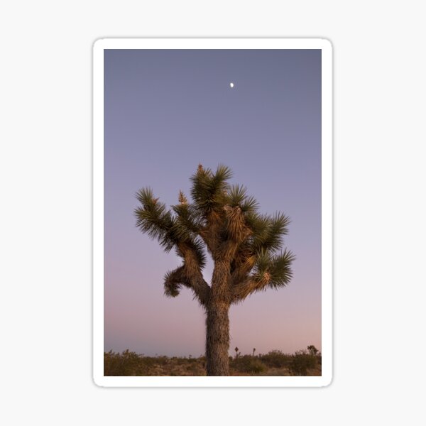 Item preview, Purple Sky Desert designed and sold by RILEY J MEDIA.