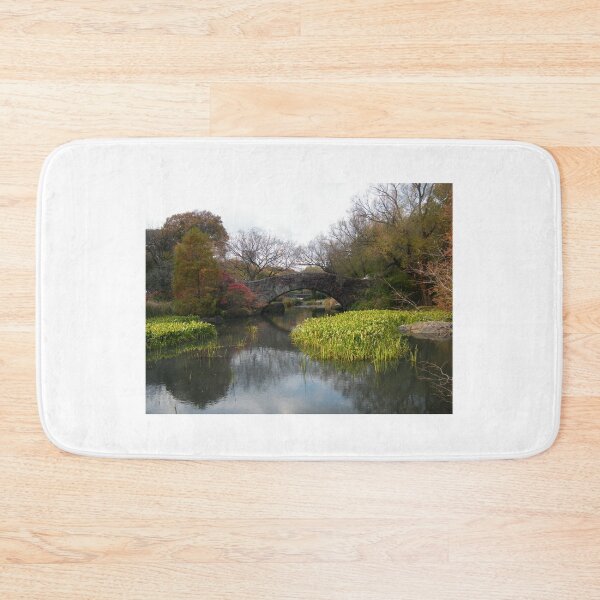 Item preview, Central Park, Classic Bridge, Fall Colors, New York City designed and sold by lenspiro.