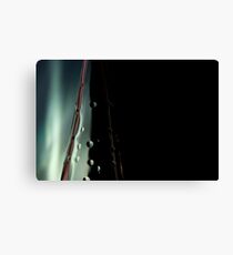 Ode to glass (2) Canvas Print