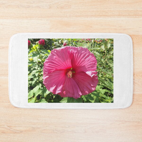 Item preview, Flower Close-Up, Bronx, New York City designed and sold by lenspiro.