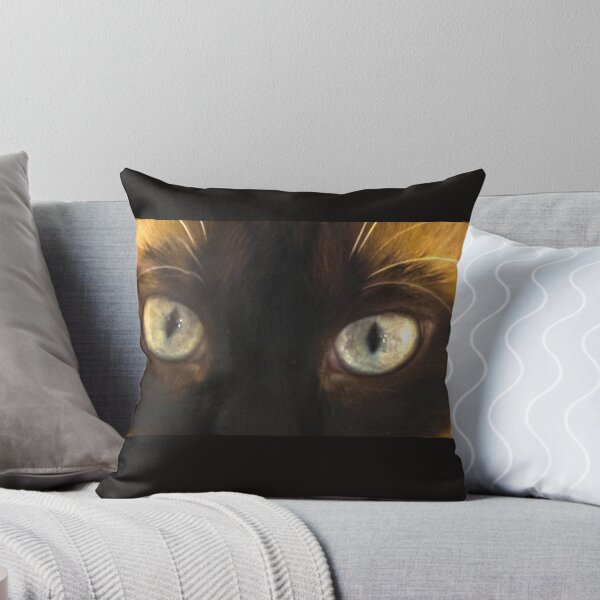 Aperçu de l'œuvre Les yeux des chats siamois regardent en profondeur créée et vendue par Katagram.