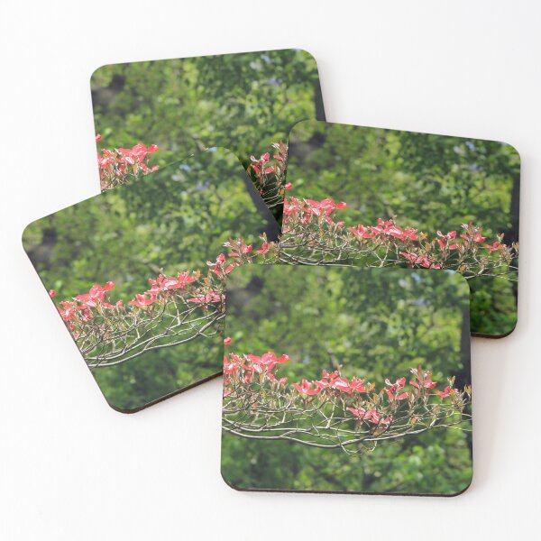 Item preview, Flores en Central Park, Nueva York designed and sold by Katagram.