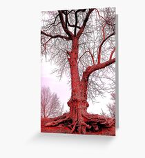 Cancer Greeting Card