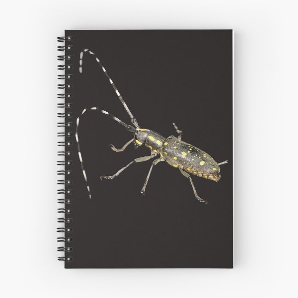 Item preview, Starry Sky Longhorn Beetle designed and sold by kswild.