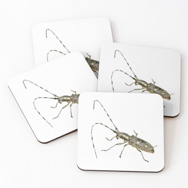 Item preview, Starry Sky Longhorn Beetle designed and sold by kswild.