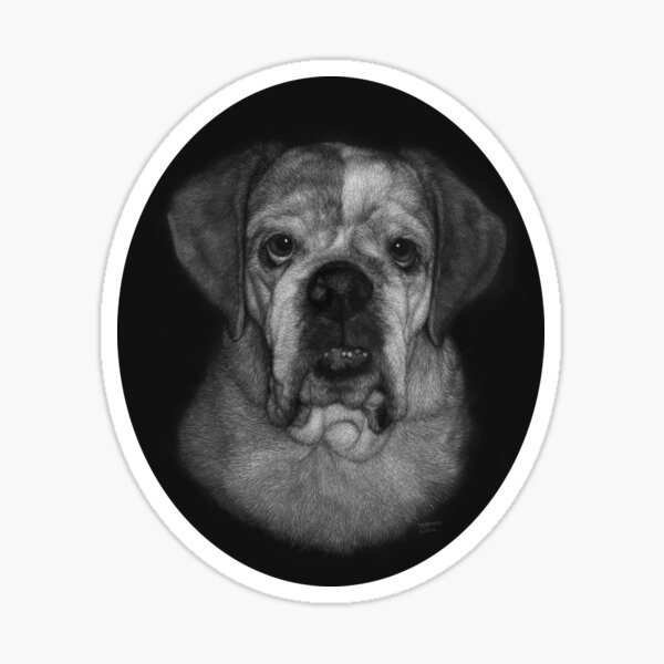 Burrito the bulldog o Sticker