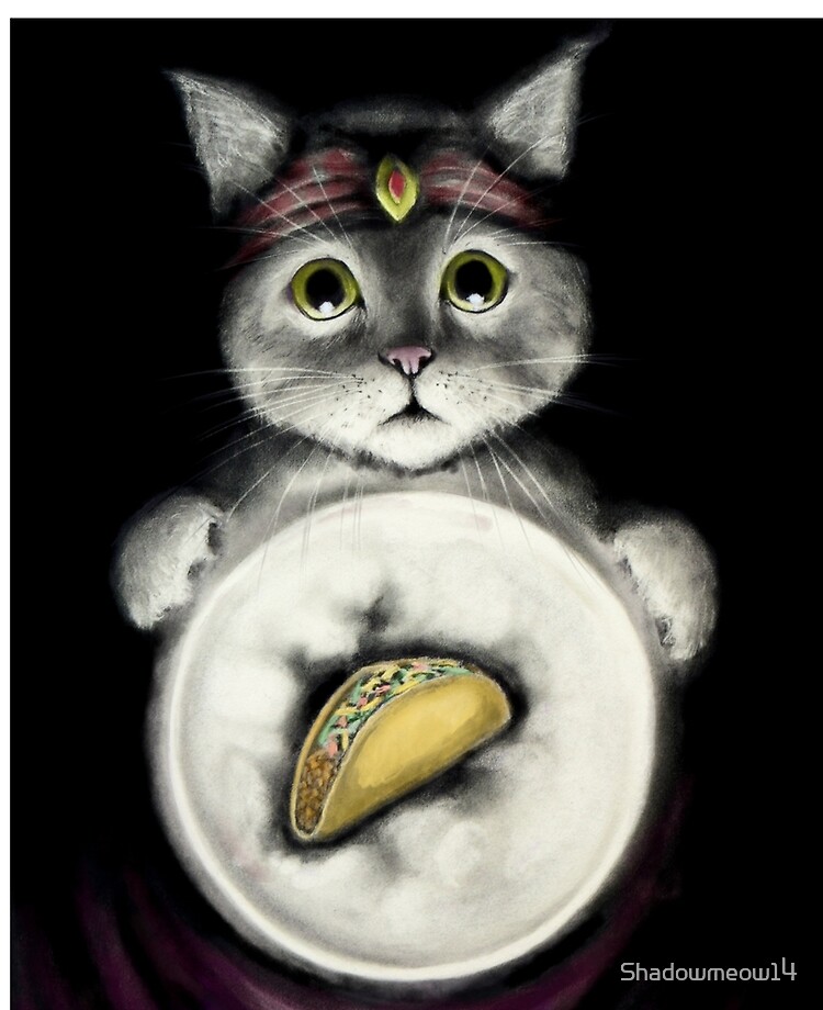 cat fortune teller