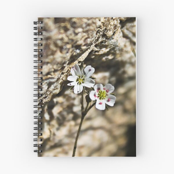Item preview, Macro Alpine Life designed and sold by Katagram.