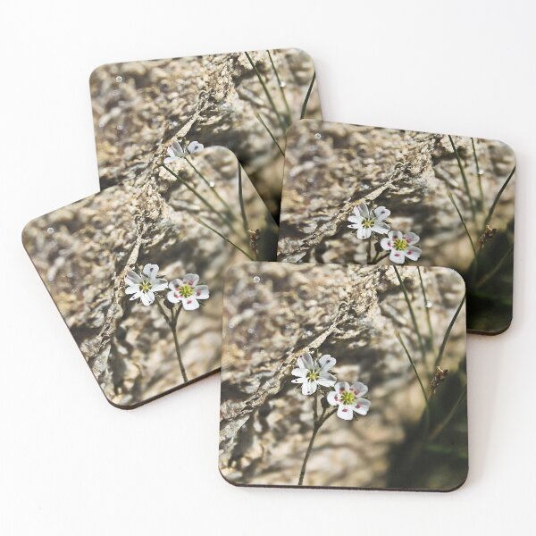 Item preview, Macro Alpine Life designed and sold by Katagram.
