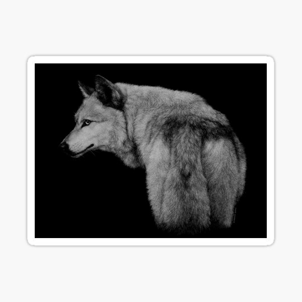 Hambone the gray wolf Sticker