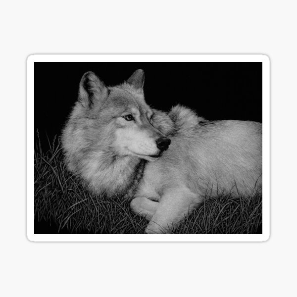 Little John the gray wolf Sticker
