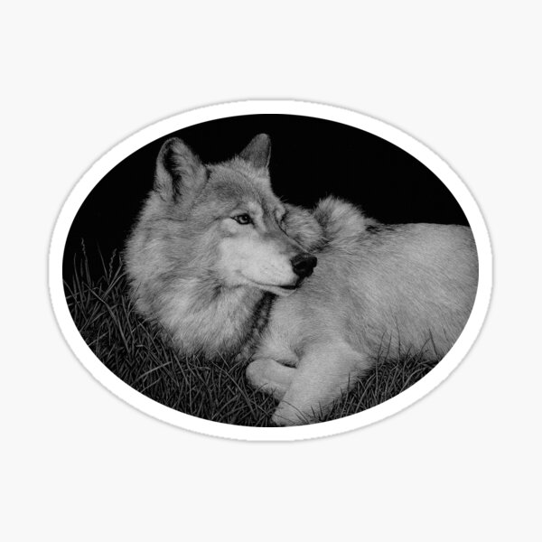 Little John the gray wolf Sticker