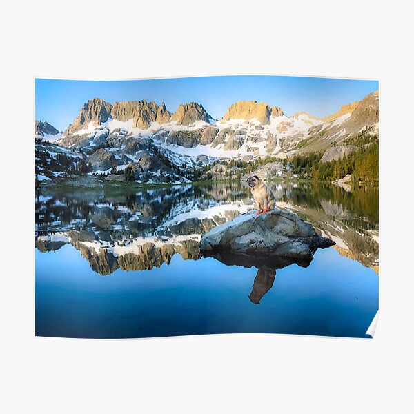 Adventure Pug and Alpenglow Poster