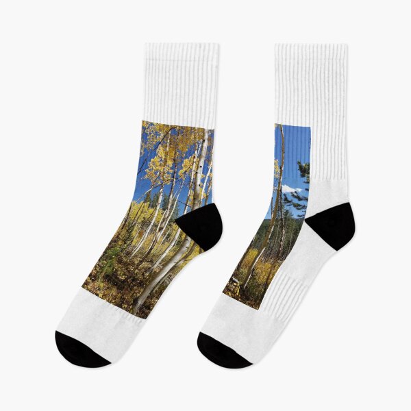 Item preview, Golden Aspen Grove designed and sold by Alla Gill.
