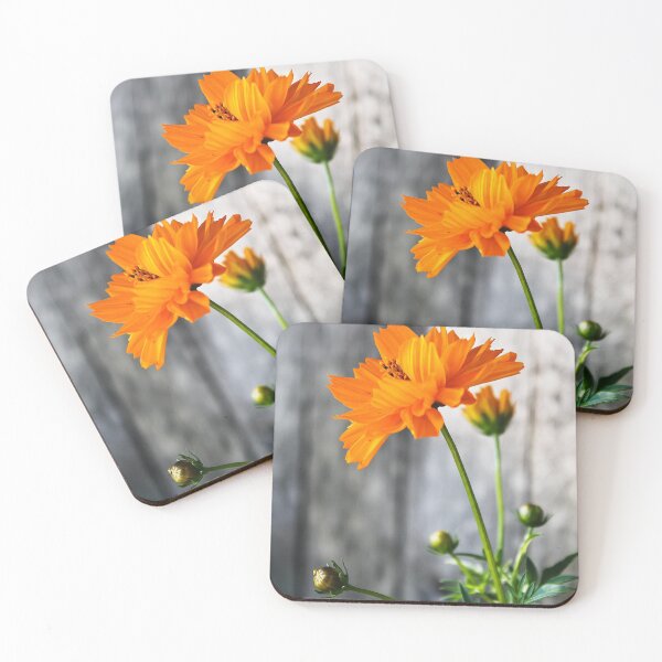 Item preview, Orange Double Cosmo designed and sold by Katagram.
