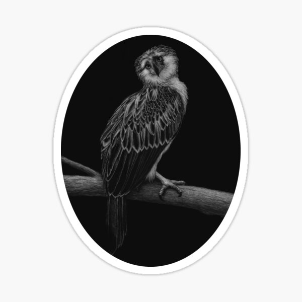 Bayani, a Philippine Eagle Sticker