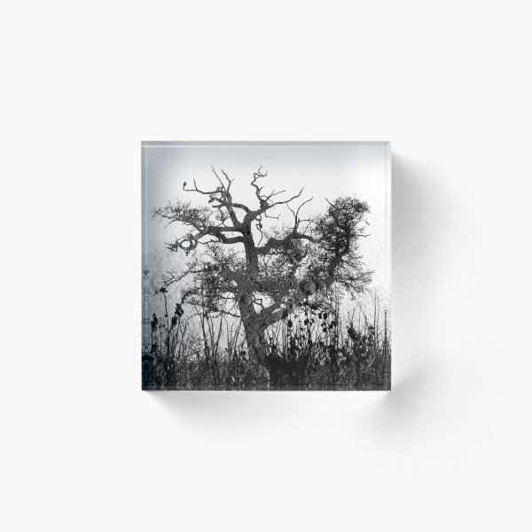 Moon Tree version 2 Acrylic Block