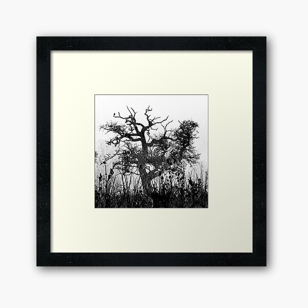 Moon Tree version 2 Framed Art Print