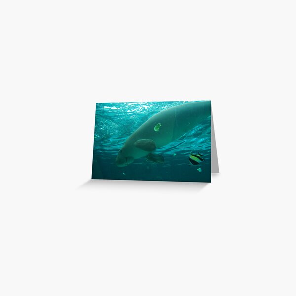 Dugong Greeting Card