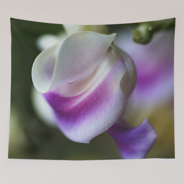 Item preview, Curls Of The Corkscrew Flower designed and sold by Joy Watson - Natural Light Photography .