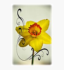 Spring Melody Photographic Print