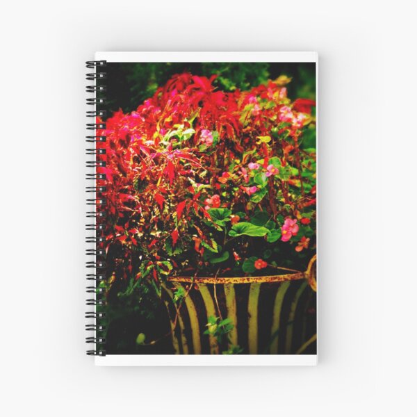 Scarletts & Begonias Spiral Notebook