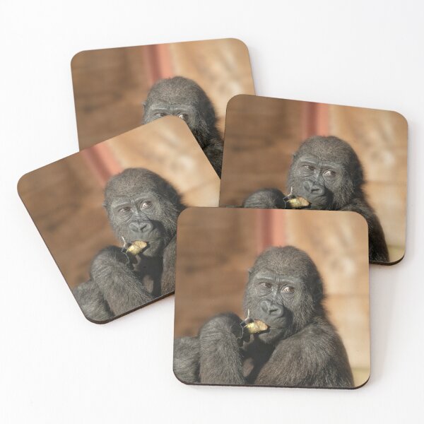 Item preview, Baby Gorilla Shufai designed and sold by rawshutterbug.