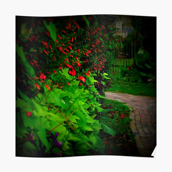 Garden Walk Poster