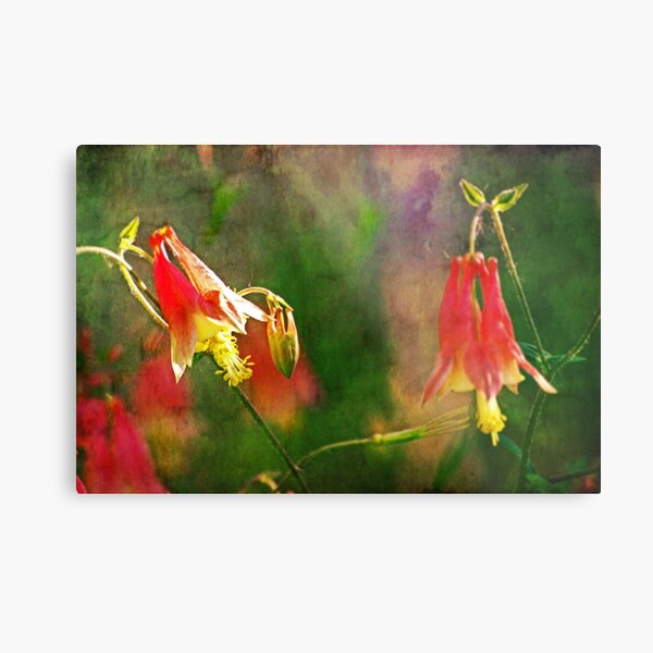 Truest Metal Print