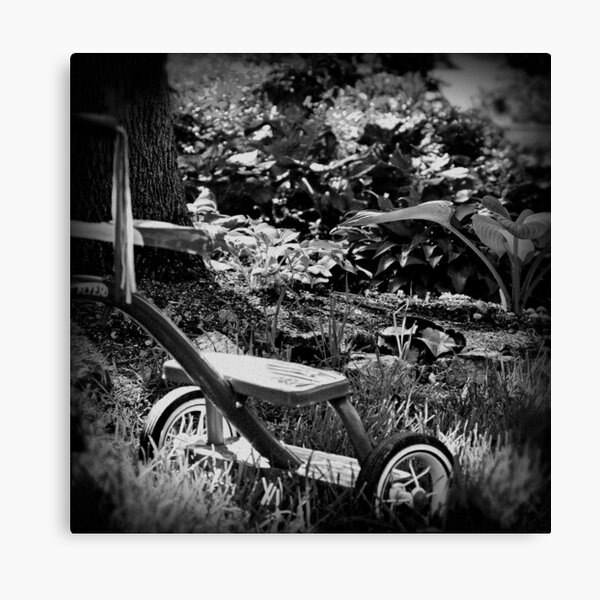 Trike Canvas Print