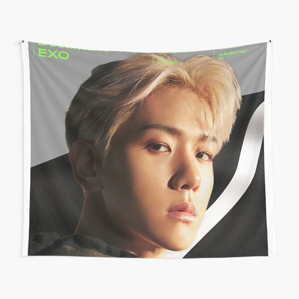 Exo Tapestries Redbubble