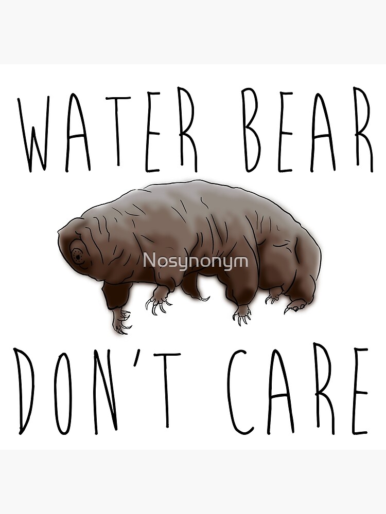 "Water Bear Don't Care" Poster by Nosynonym Redbubble